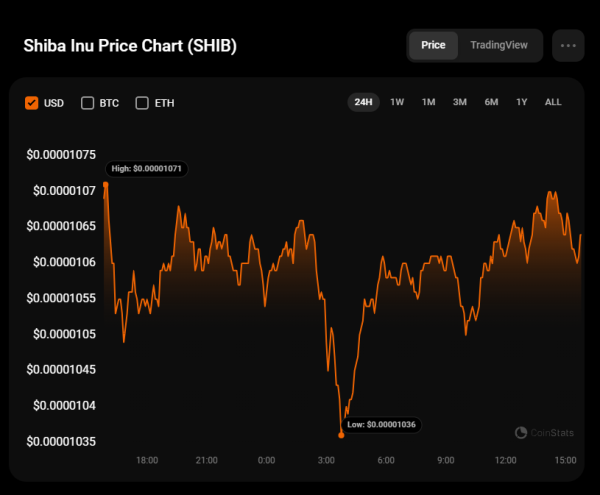 SHIB Price Analysis for December 29