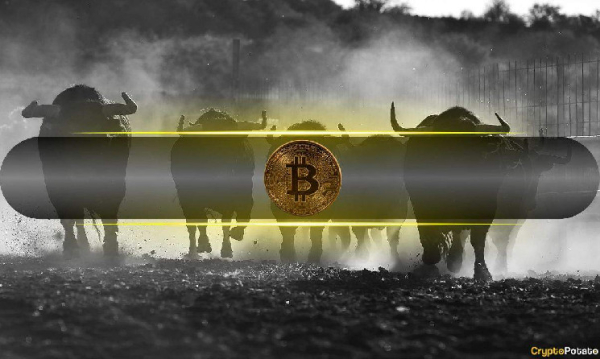 8 Signs The Bitcoin Price Bull Market Isn&rsquo;t Over