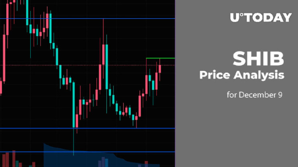 SHIB Price Analysis for December 9