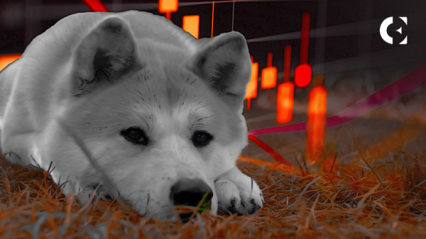 Shiba Inu Records Decline In Exchange Supply Since November