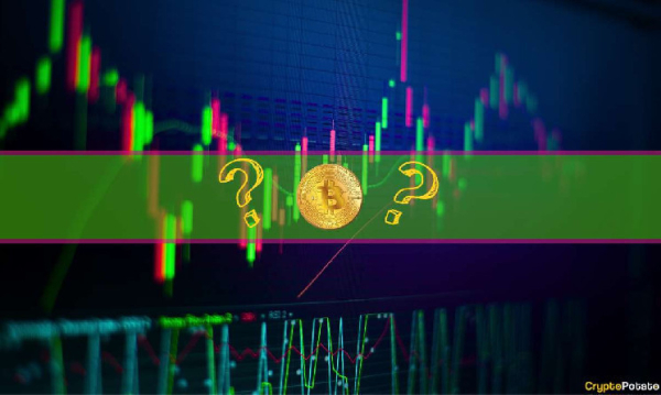 Bitcoin Skyrockets to 19-Month Peak but These Alts Have Performed Better (Market Watch) Bitcoin Skyrockets to 19-Month Peak but These Alts Have Performed Better (Market Watch)