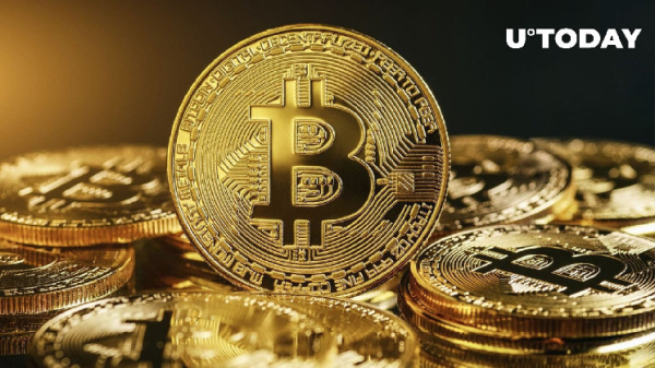 Crypto Turnaround Year Predicted by Blockchain Association CEO Crypto Turnaround Year Predicted by Blockchain Association CEO