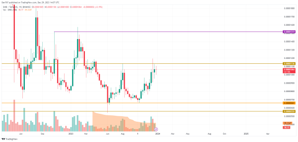 SHIB Price Analysis for December 29