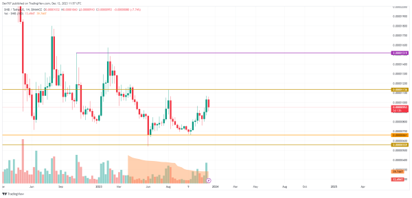 SHIB Price Analysis for December 12