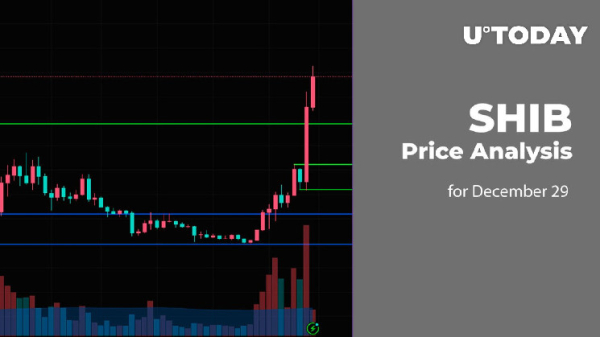 SHIB Price Analysis for December 29