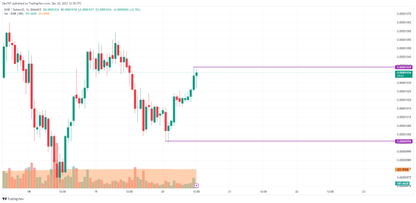 SHIB Price Analysis for December 20