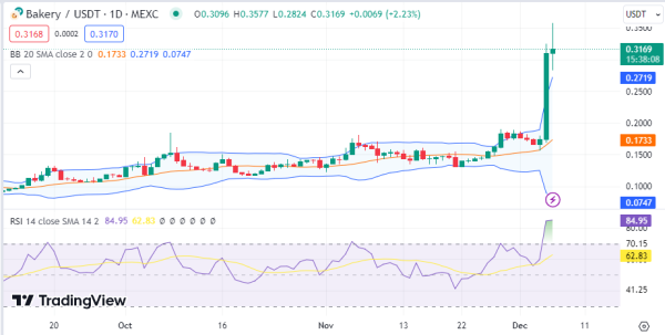 Daily Analysis: BTC, ETH, PEPE, FLOKI, BAKE