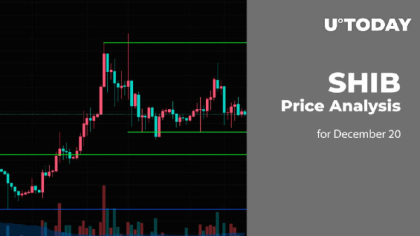 SHIB Price Analysis for December 20