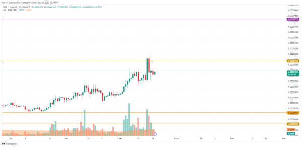 SHIB Price Analysis for December 20