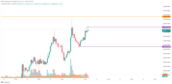 BONK Price Analysis for January 11 BONK Price Analysis for January 11