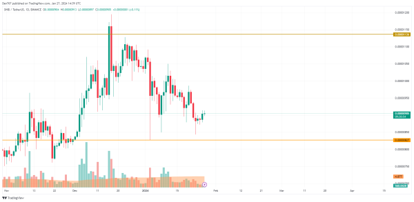 DOGE and SHIB Price Analysis for January 27