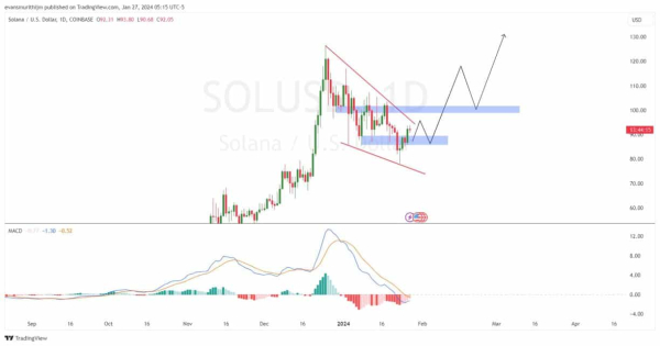 Solana Price Bull Flag Hints Potential Recovery to $125