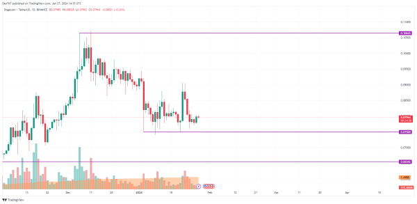 DOGE and SHIB Price Analysis for January 27