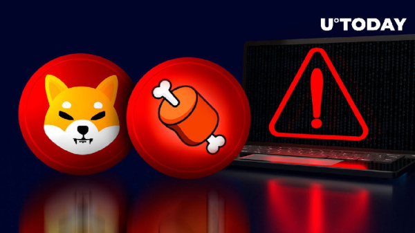 No SHIB, BONE Airdrops: Shiba Inu Community Gets Urgent Warning No SHIB, BONE Airdrops: Shiba Inu Community Gets Urgent Warning
