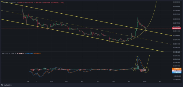 Machine learning algorithm sets Terra Classic price for January 31, 2024
