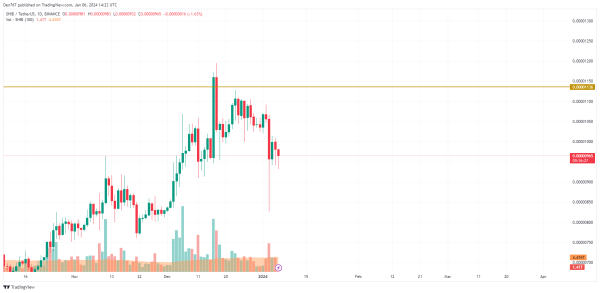 DOGE, SHIB and BONK Price Analysis for January 6