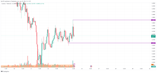 Cardano (ADA) Price Analysis for January 25