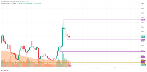 Cardano (ADA) Price Analysis for January 31
