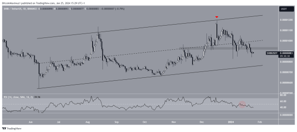 Shiba Inu (SHIB) Price Expands Downward Trend Below Key Level &ndash; What&rsquo;s Next?