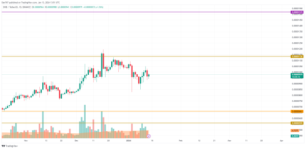 DOGE, SHIB and BONK Price Analysis for January 13 DOGE, SHIB and BONK Price Analysis for January 13