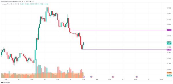 Cardano (ADA) Price Analysis for January 31
