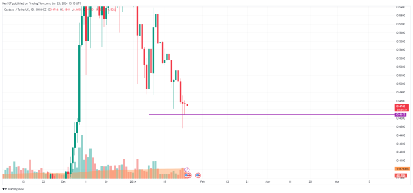 Cardano (ADA) Price Analysis for January 25