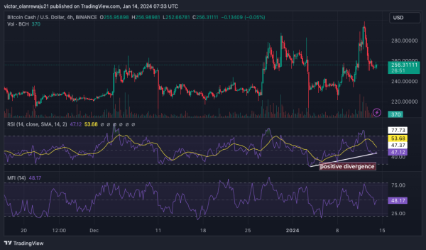 Will AXS, BCH Join the Next Altcoin Rally? Indicators Say “Yes” Will AXS, BCH Join the Next Altcoin Rally? Indicators Say “Yes”