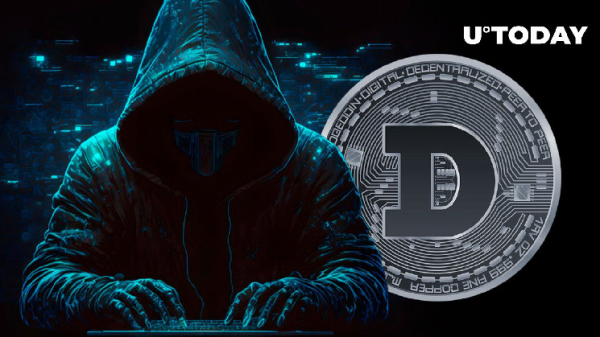 Crucial Warning Made by DOGE Contributor After Today’s MyDoge Account Hack Crucial Warning Made by DOGE Contributor After Today’s MyDoge Account Hack