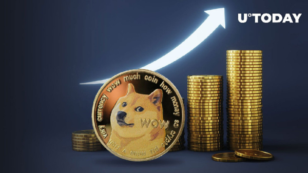 Dogecoin (DOGE) to Rally in 2024? Hidden On-Chain Data Unveils Secrets
