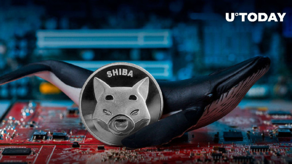 Shiba Inu (SHIB) 700% Whales Activity Surge to Become Lifesaver for Meme Coin