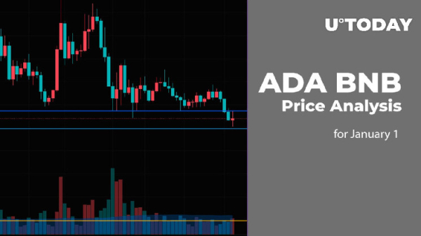 ADA and BNB Price Analysis for January 1 ADA and BNB Price Analysis for January 1