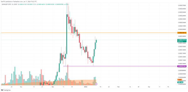 BONK Price Analysis for January 11 BONK Price Analysis for January 11