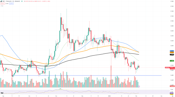 XRP Delivers Hidden Bullish Signal XRP Delivers Hidden Bullish Signal