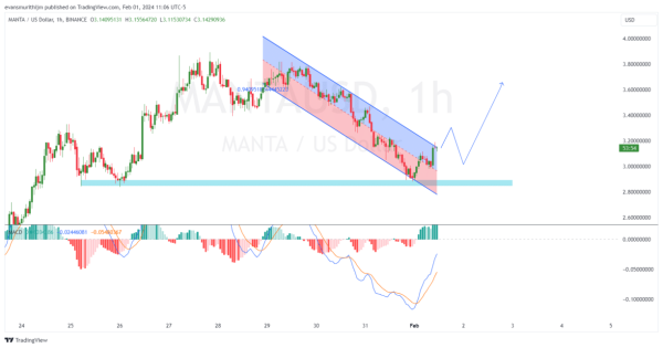 Top 3 Altcoins To Buy Today February 1: Solana (SOL), Jupiter (JUP), MANTA Top 3 Altcoins To Buy Today February 1: Solana (SOL), Jupiter (JUP), MANTA