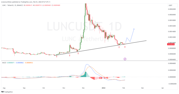 2 Best Altcoins To Buy Today: LINK And LUNC 2 Best Altcoins To Buy Today: LINK And LUNC