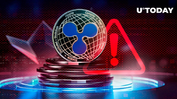 Ripple Faces Major Bug in AMM Update; What You Need to Know Ripple Faces Major Bug in AMM Update; What You Need to Know
