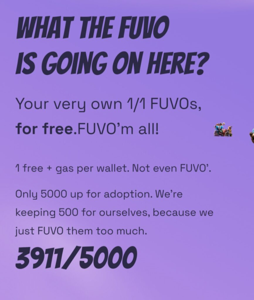 Fuvo.io shows signs of phishing scam targeting valuable crypto and NFTS