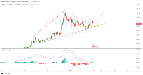 Solana Price Prediction: As SOL Plummets 5% In 24 Hours, Will Bears Push It To $75?