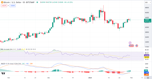 Market Daily Analysis: BTC, ETH, MXR, RON, FLR Market Daily Analysis: BTC, ETH, MXR, RON, FLR