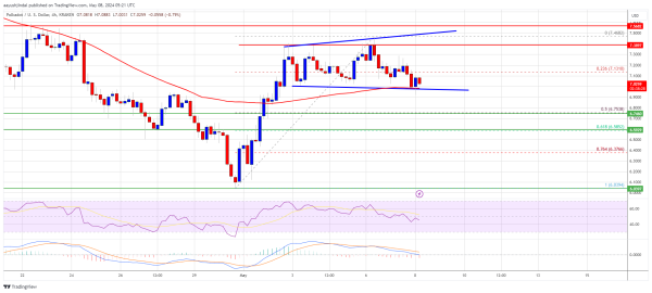 DOT Price (Polkadot) Reaches Key Juncture, Is This Bulls Trap or Correction? DOT Price (Polkadot) Reaches Key Juncture, Is This Bulls Trap or Correction?