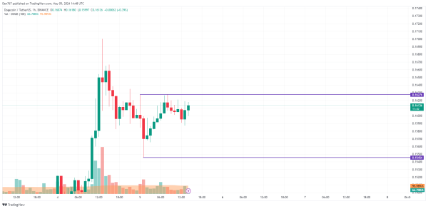 DOGE Price Prediction for May 5